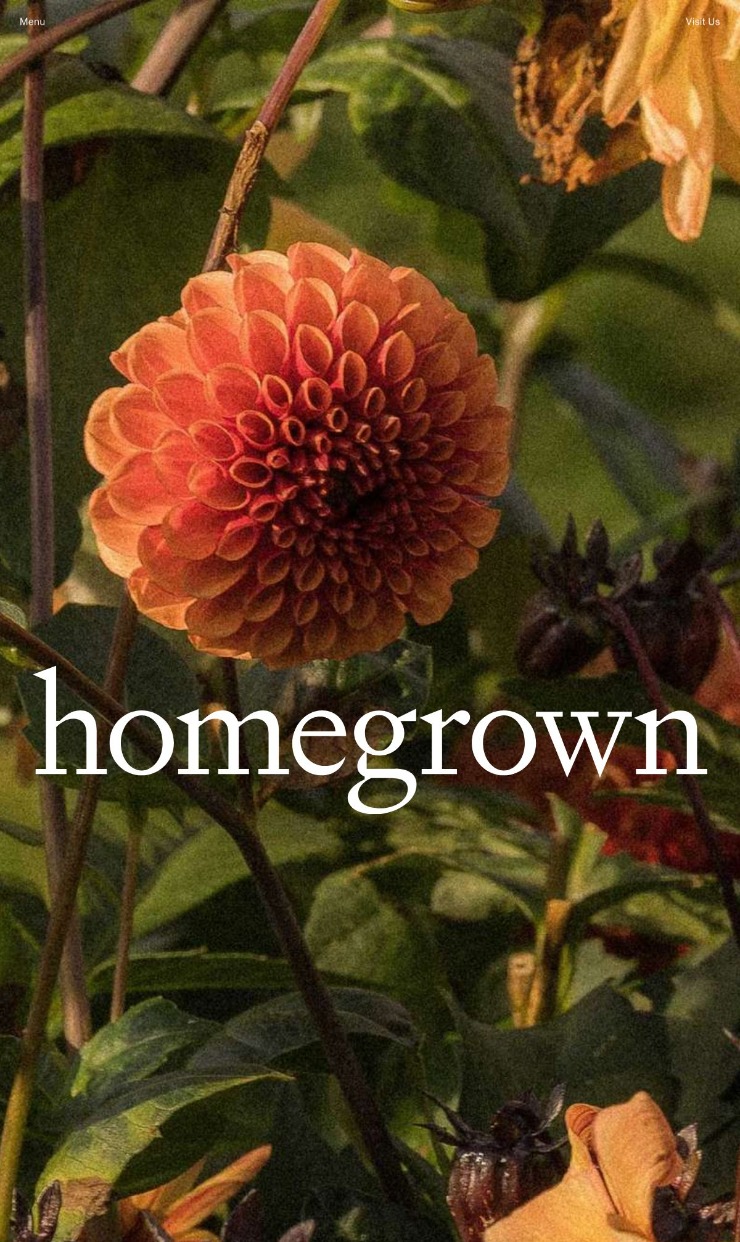 Homegrown — website design on Landdding