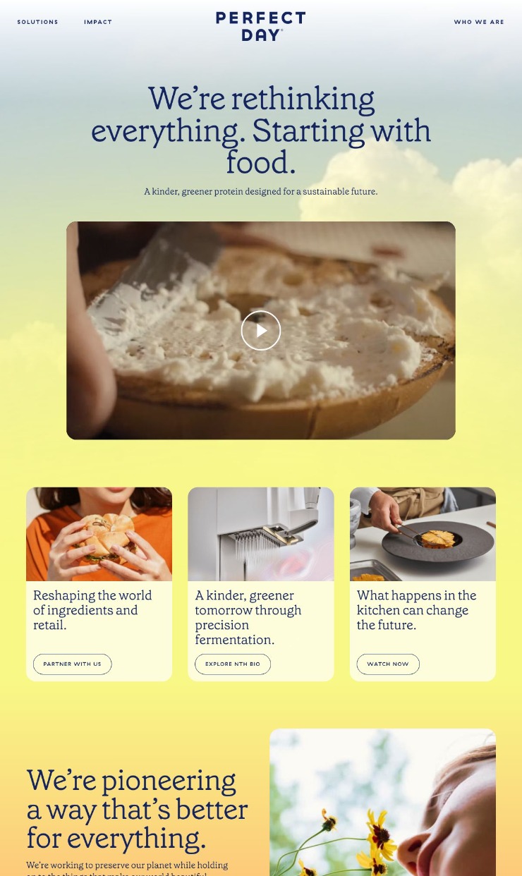 Perfect Day — website design on Landdding
