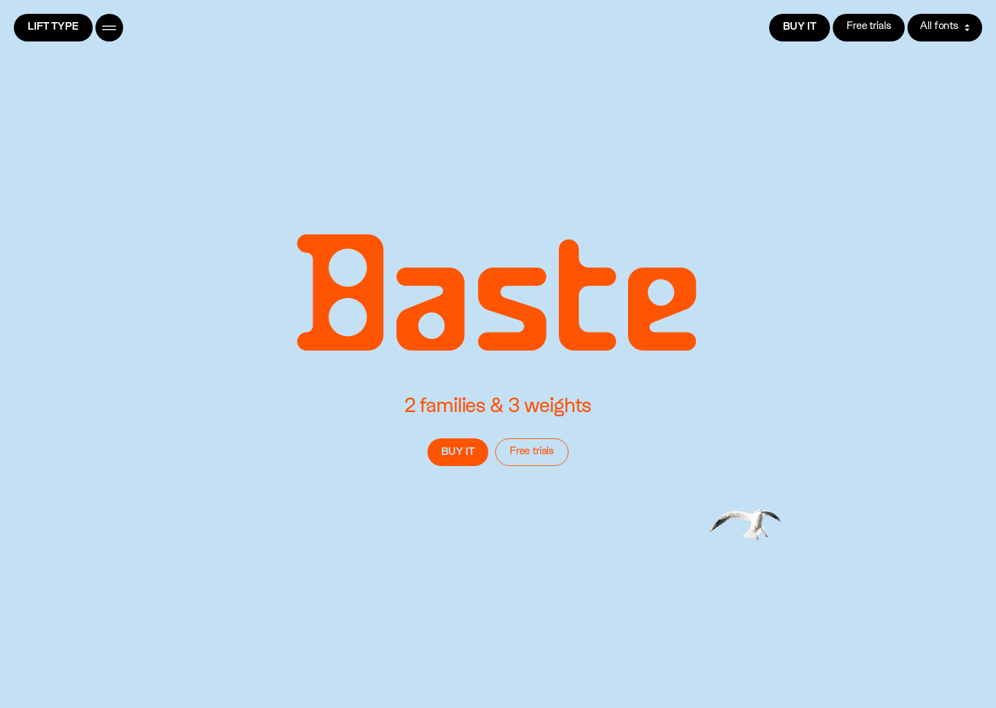 
      Baste
 &ndash; Lift Type