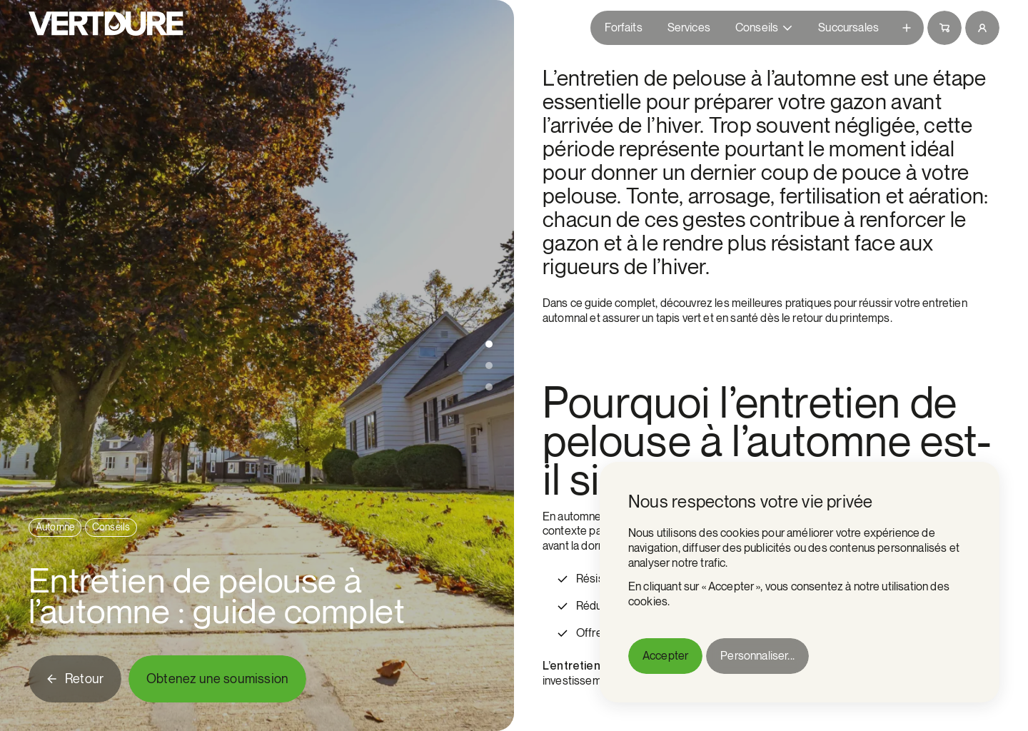 Entretien de pelouse à l’automne : guide complet - Vertdure