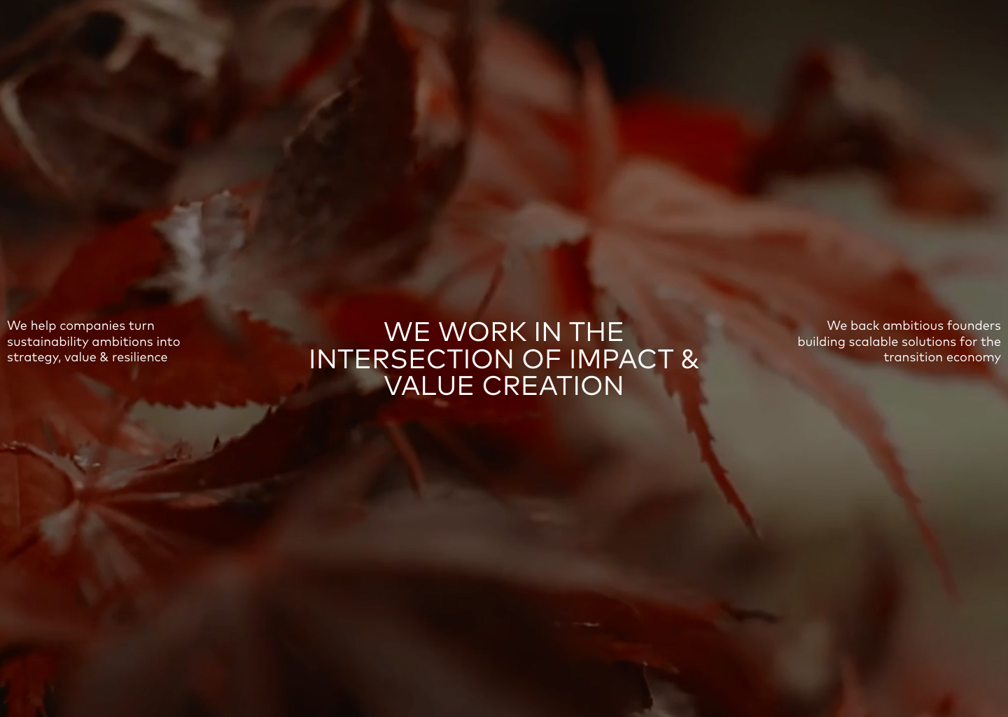 The Footprint Firm | The Footprint Firm — website design on Landdding
