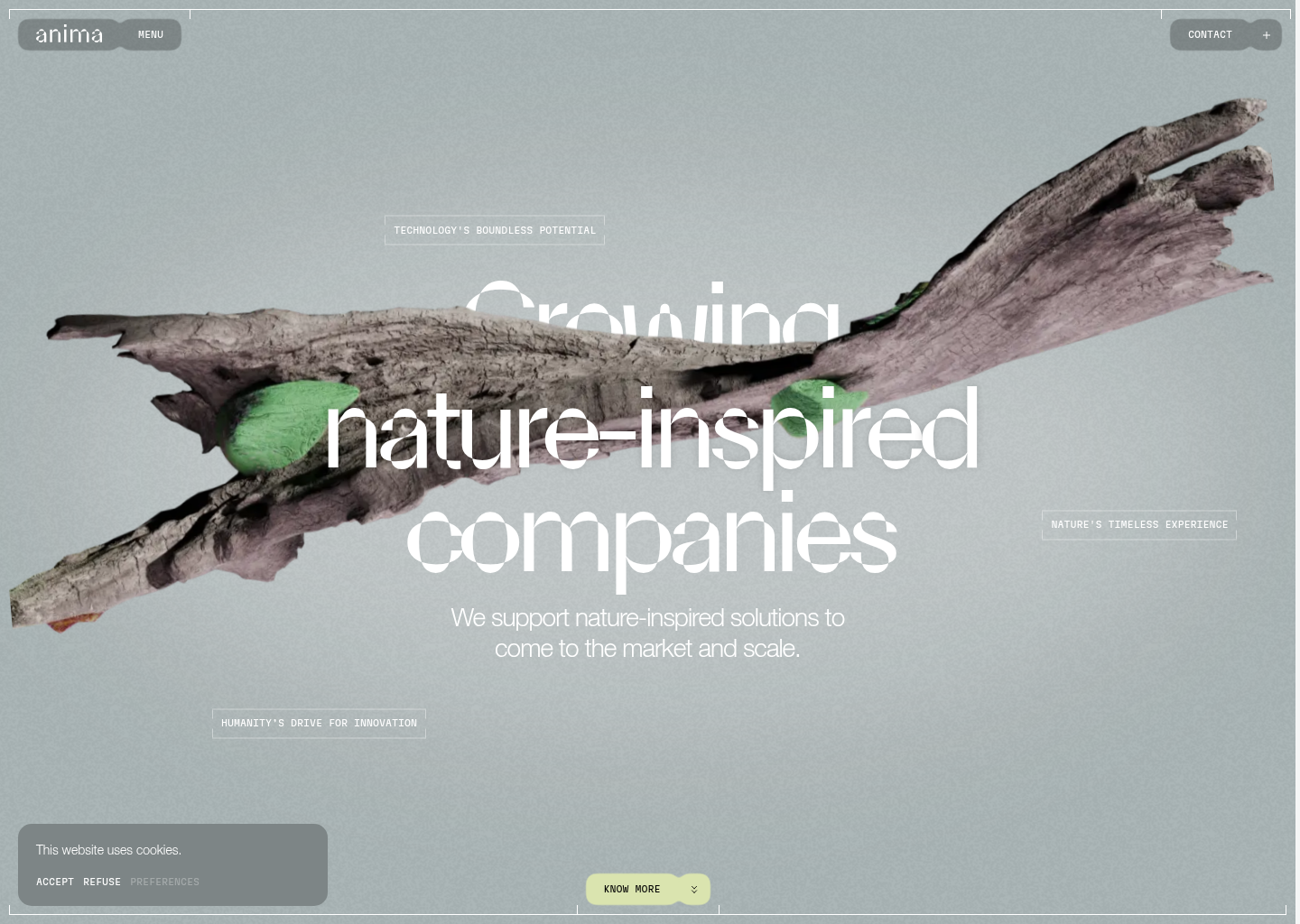Anima - Growing nature-inspired ventures — website design on Landdding