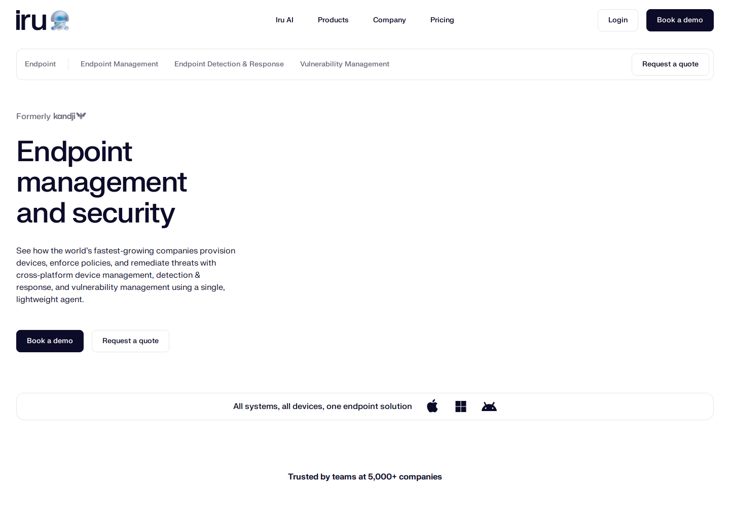 Meet Iru (Formerly Kandji)