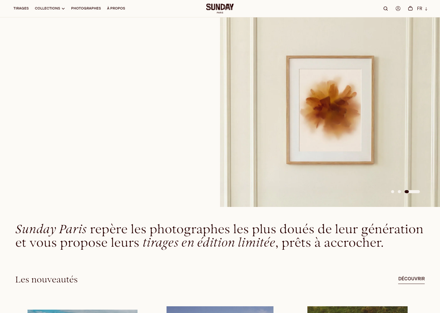 Sunday-Paris — website design on Landdding
