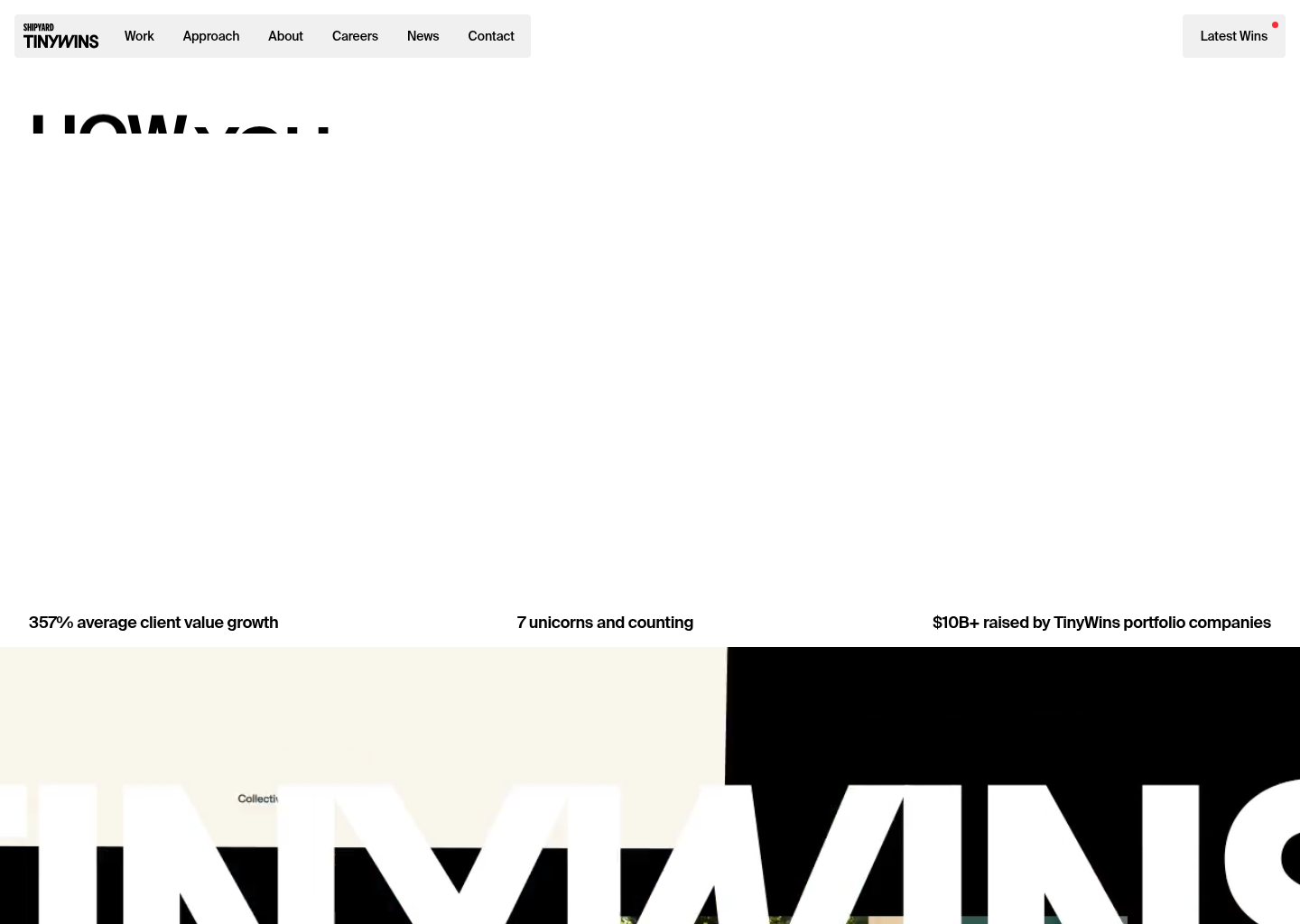 TinyWins — website design on Landdding