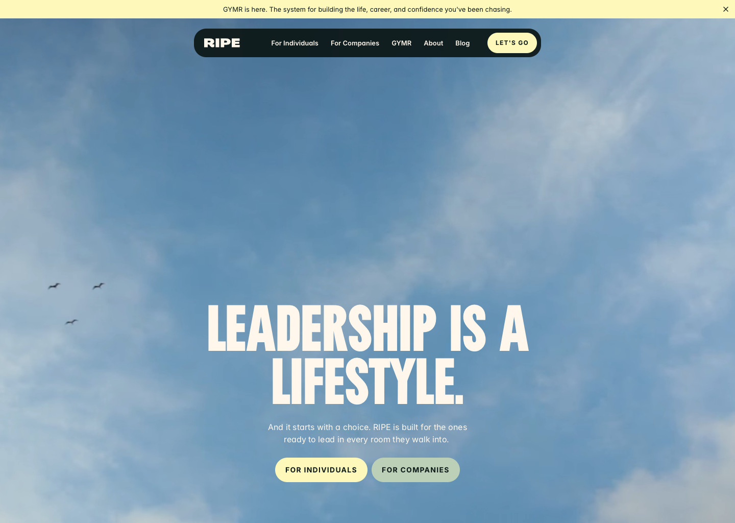 RIPE - Leadership Is a Lifestyle — website design on Landdding