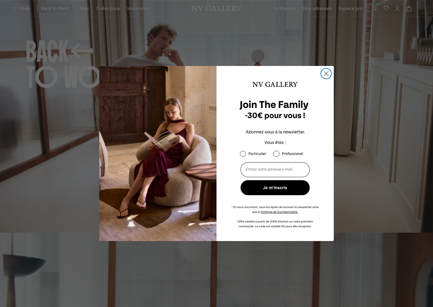 NV Gallery | Mobilier design &amp; décoration contemporaine — website design on Landdding