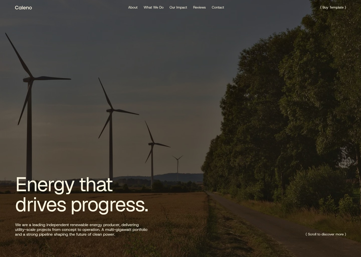 Caleno - Webflow HTML website template — website design on Landdding